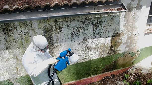 Mold Remediation service in Bothell, Bothell, WA